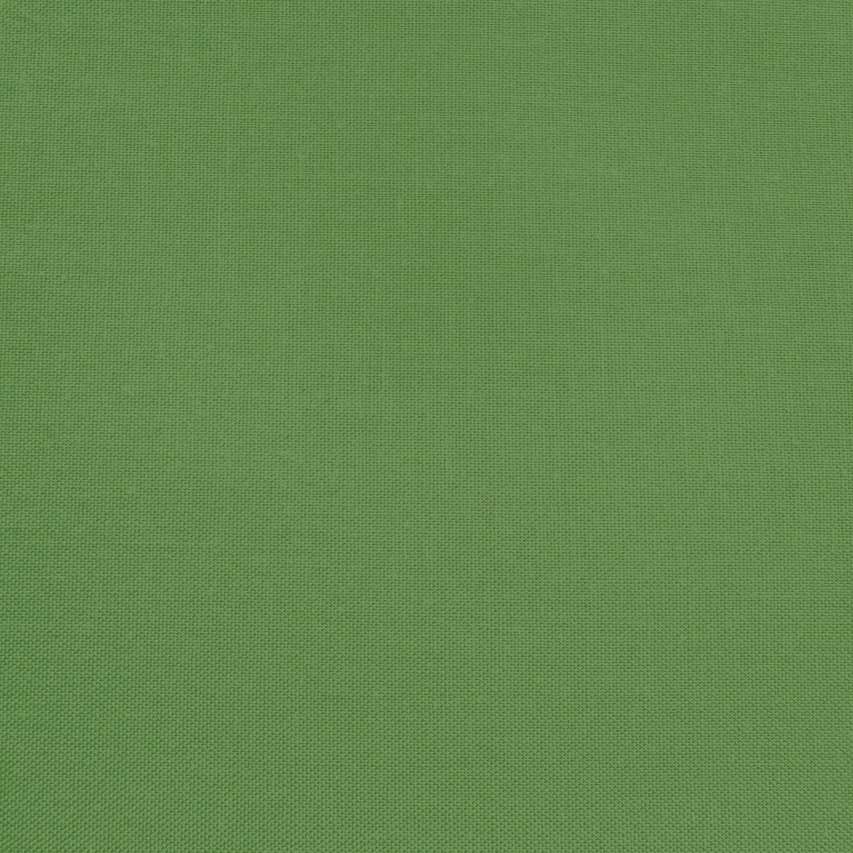 Confetti Cotton - Treetop - Sewfinity.com