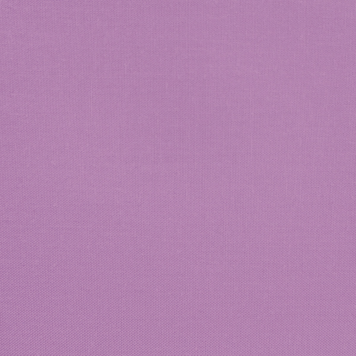 Confetti Cotton - Violet - Sewfinity.com