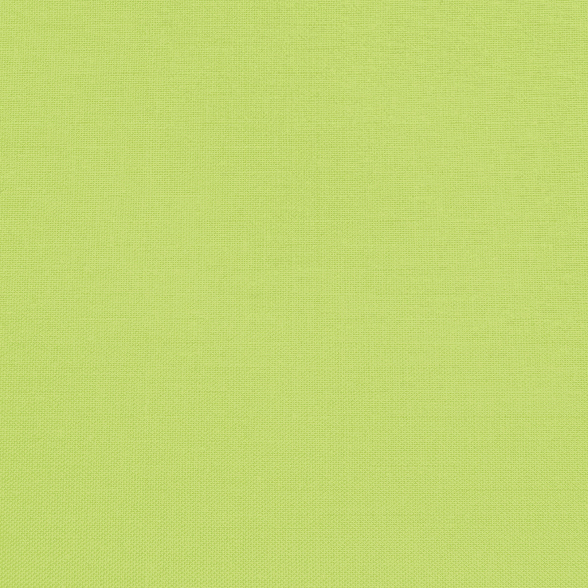 Confetti Cotton - Wasabi - Sewfinity.com