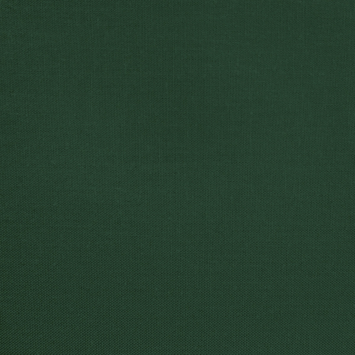 Confetti Cotton - Woodland - Sewfinity.com