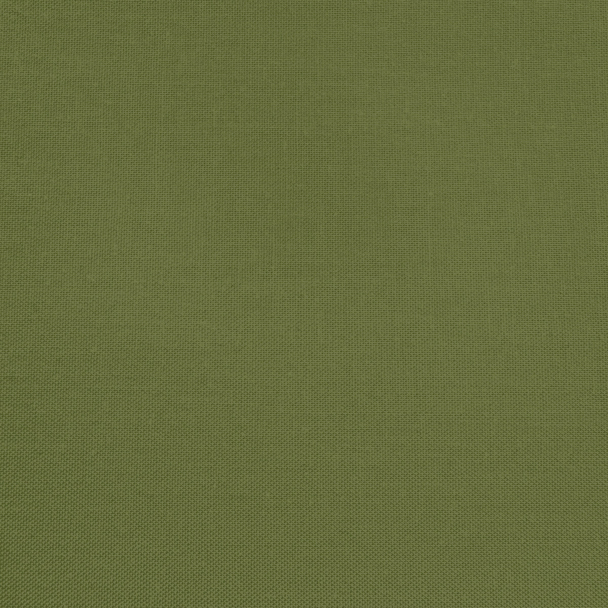 Confetti Cotton - Zucchini - Sewfinity.com