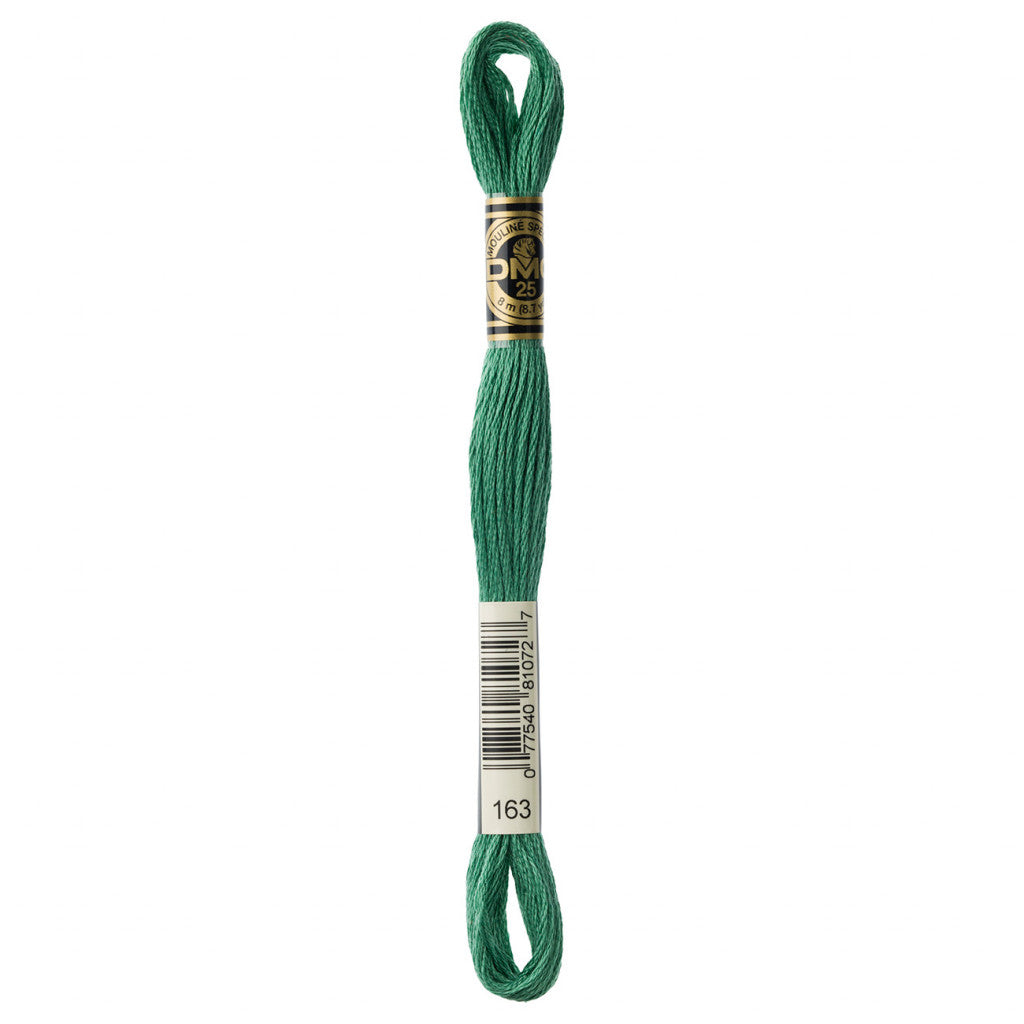 DMC 163 Embroidery Floss - Sewfinity.com