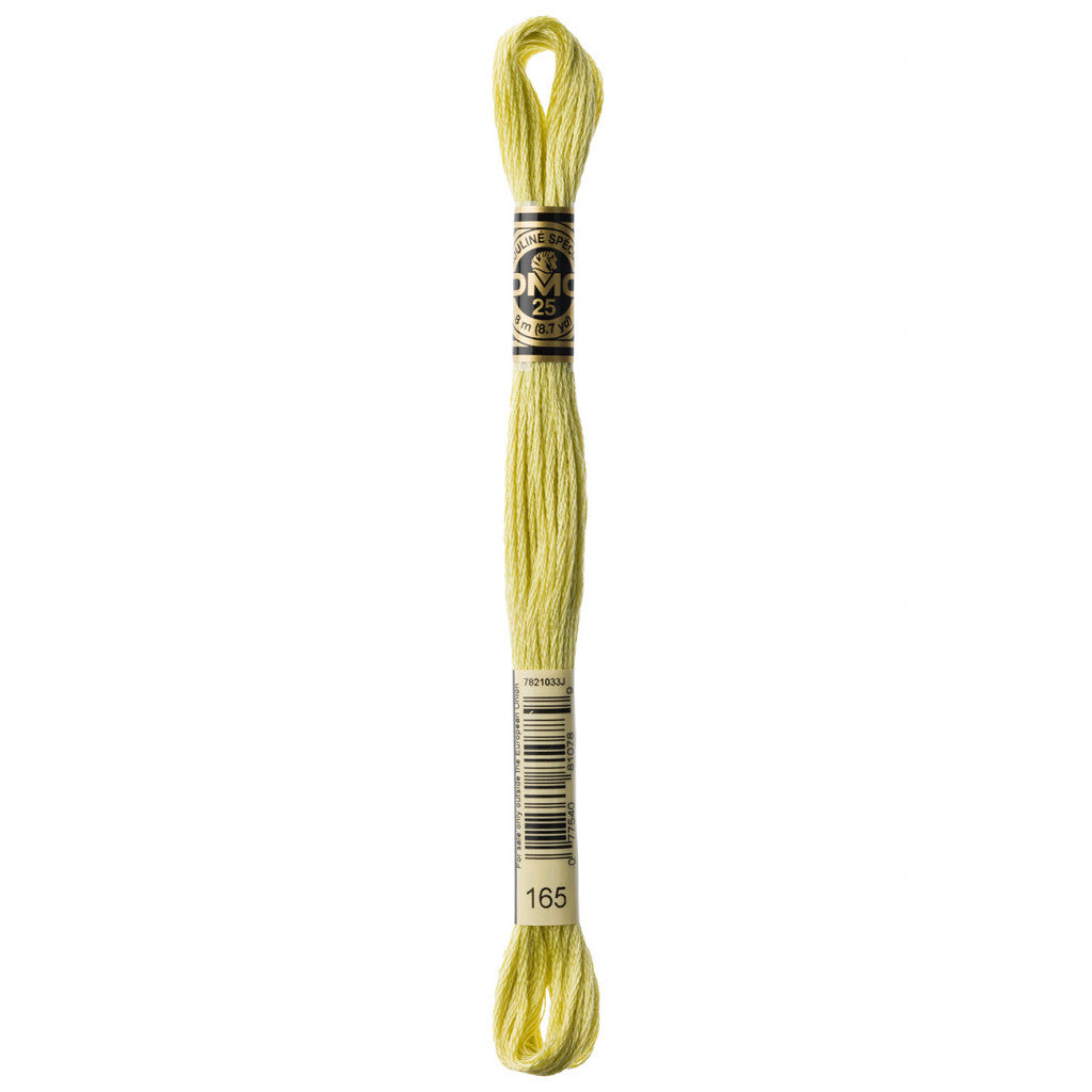 DMC 165 Embroidery Floss - Sewfinity.com