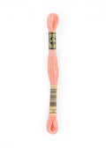 DMC 20 Embroidery Floss - Sewfinity.com