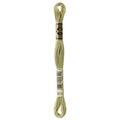 DMC 3013 Embroidery Floss - Sewfinity.com