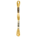 DMC 3046 Embroidery Floss - Sewfinity.com