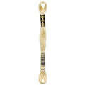 DMC 3047 Embroidery Floss - Sewfinity.com