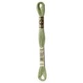 DMC 3053 Embroidery Floss - Sewfinity.com