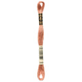 DMC 3064 Embroidery Floss - Sewfinity.com