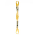 DMC 3078 Embroidery Floss - Sewfinity.com