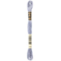 DMC 318 Embroidery Floss - Sewfinity.com