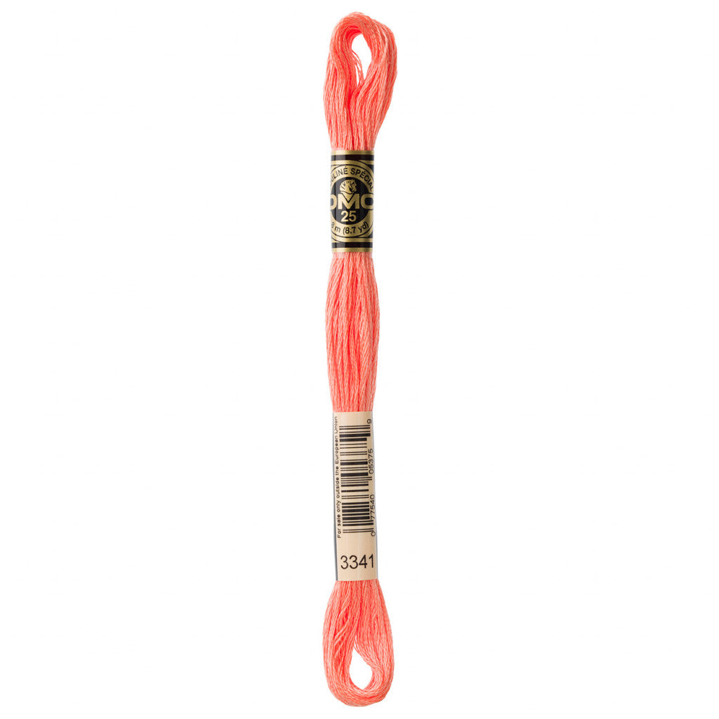 DMC 3341 Embroidery Floss - Sewfinity.com
