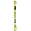 DMC 3348 Embroidery Floss - Sewfinity.com