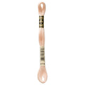 DMC 3774 Embroidery Floss - Sewfinity.com
