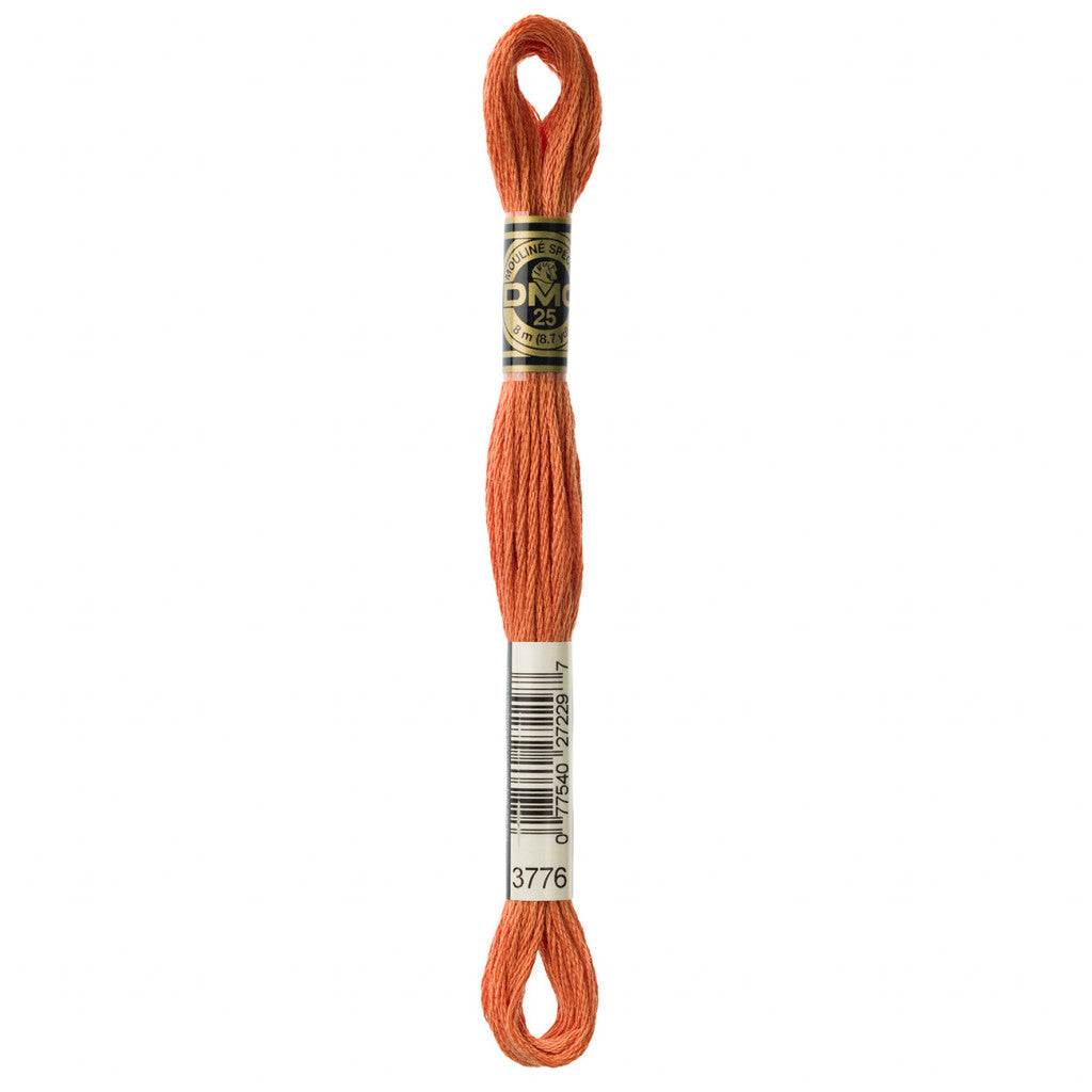 DMC 3776 Embroidery Floss - Sewfinity.com