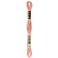 DMC 3779 Embroidery Floss - Sewfinity.com