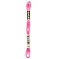 DMC 3806 Embroidery Floss - Sewfinity.com