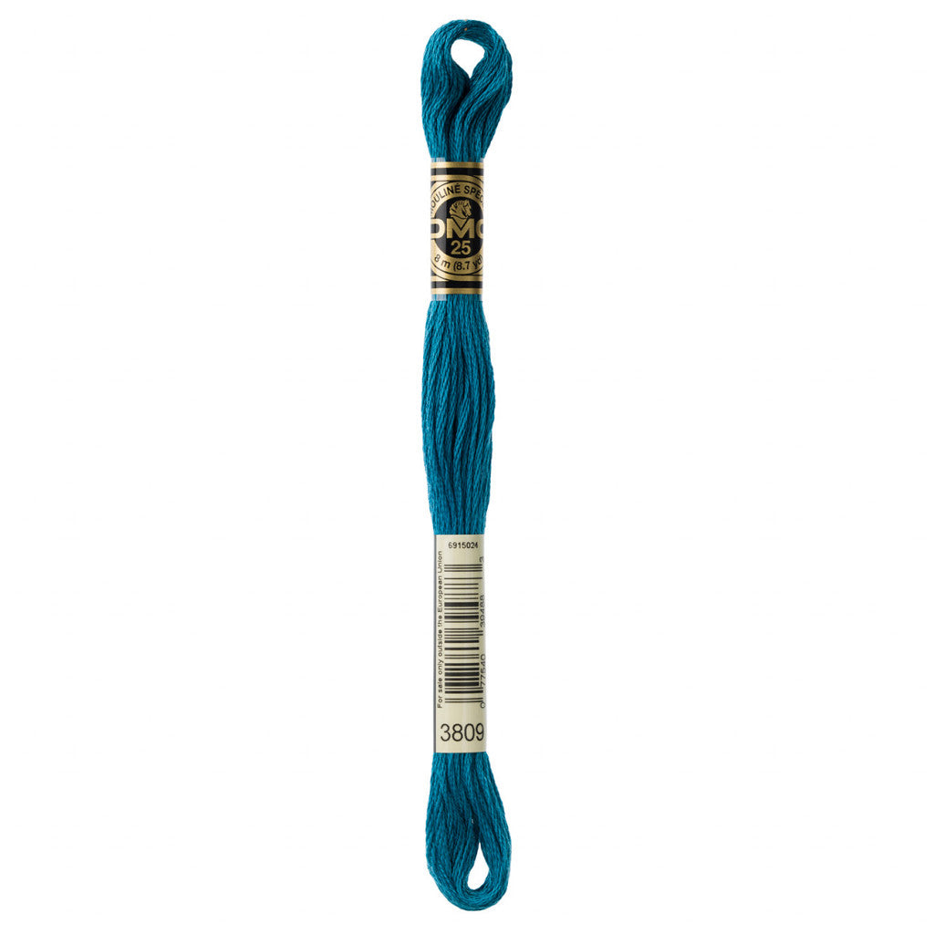 DMC 3809 Embroidery Floss - Sewfinity.com