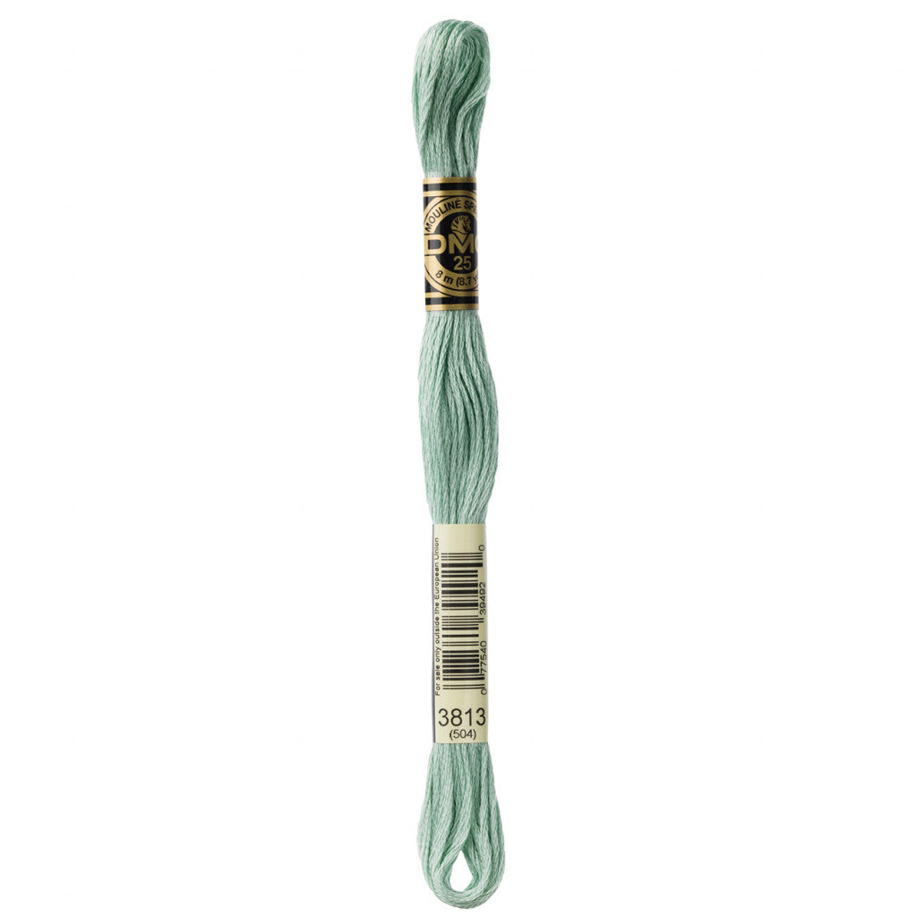 DMC 3813 Embroidery Floss - Sewfinity.com