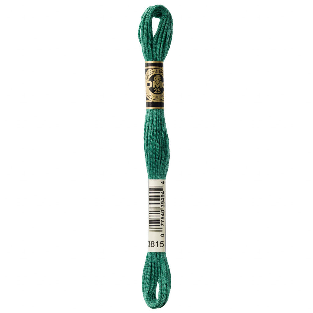 DMC 3815 Embroidery Floss - Sewfinity.com
