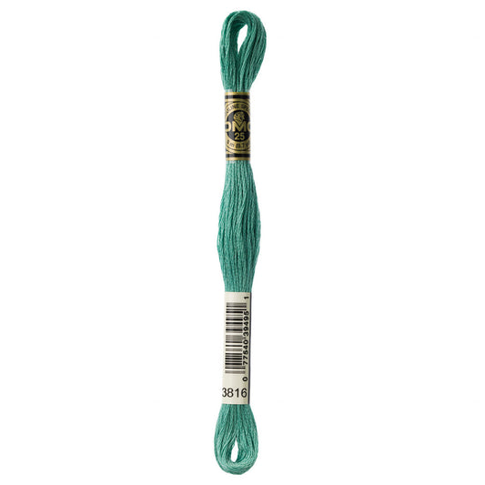 DMC 3816 Embroidery Floss - Sewfinity.com