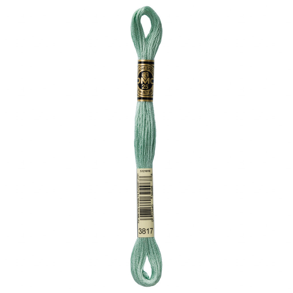 DMC 3817 Embroidery Floss - Sewfinity.com