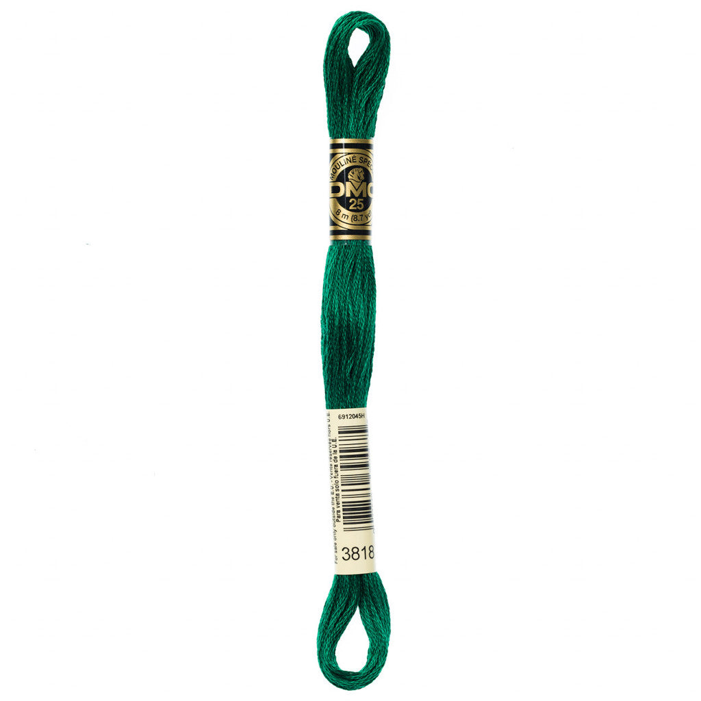 DMC 3818 Embroidery Floss - Sewfinity.com