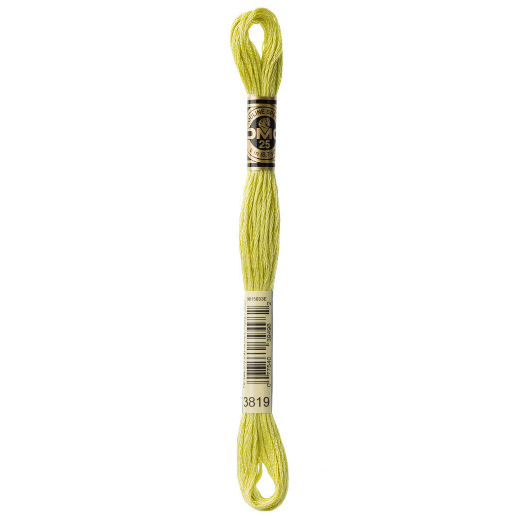 DMC 3819 Embroidery Floss - Sewfinity.com