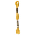 DMC 3822 Embroidery Floss - Sewfinity.com