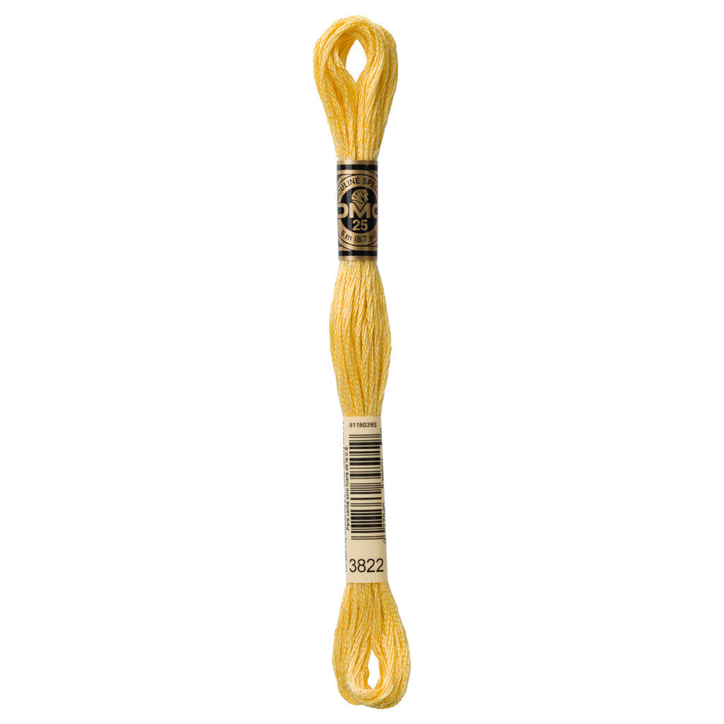 DMC 3822 Embroidery Floss - Sewfinity.com