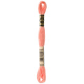 DMC 3824 Embroidery Floss - Sewfinity.com