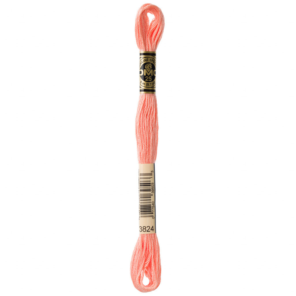 DMC 3824 Embroidery Floss - Sewfinity.com