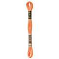 DMC 3825 Embroidery Floss - Sewfinity.com