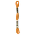 DMC 3827 Embroidery Floss - Sewfinity.com