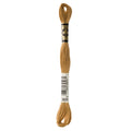 DMC 3828 Embroidery Floss - Sewfinity.com