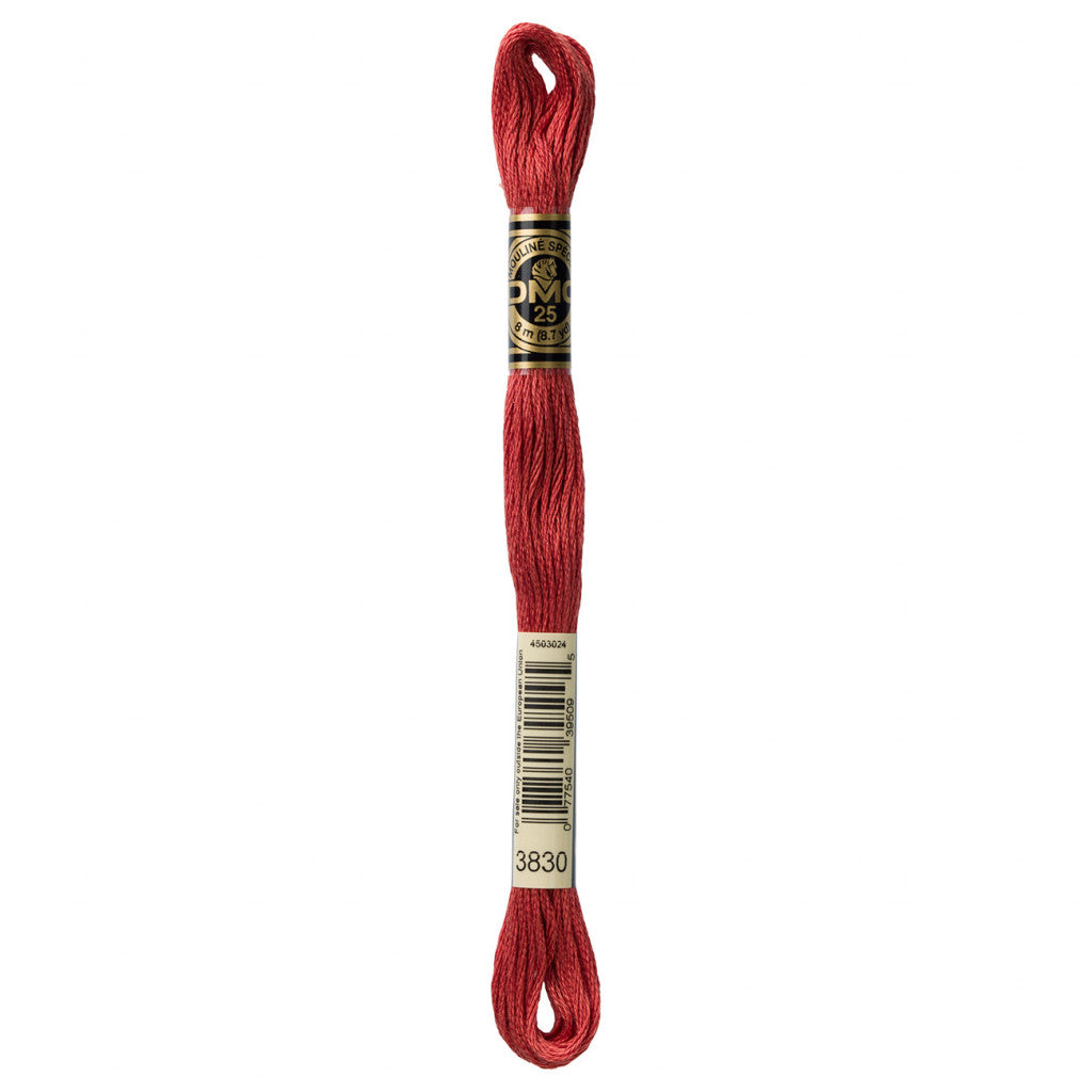 DMC 3830 Embroidery Floss - Sewfinity.com