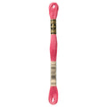 DMC 3833 Embroidery Floss - Sewfinity.com