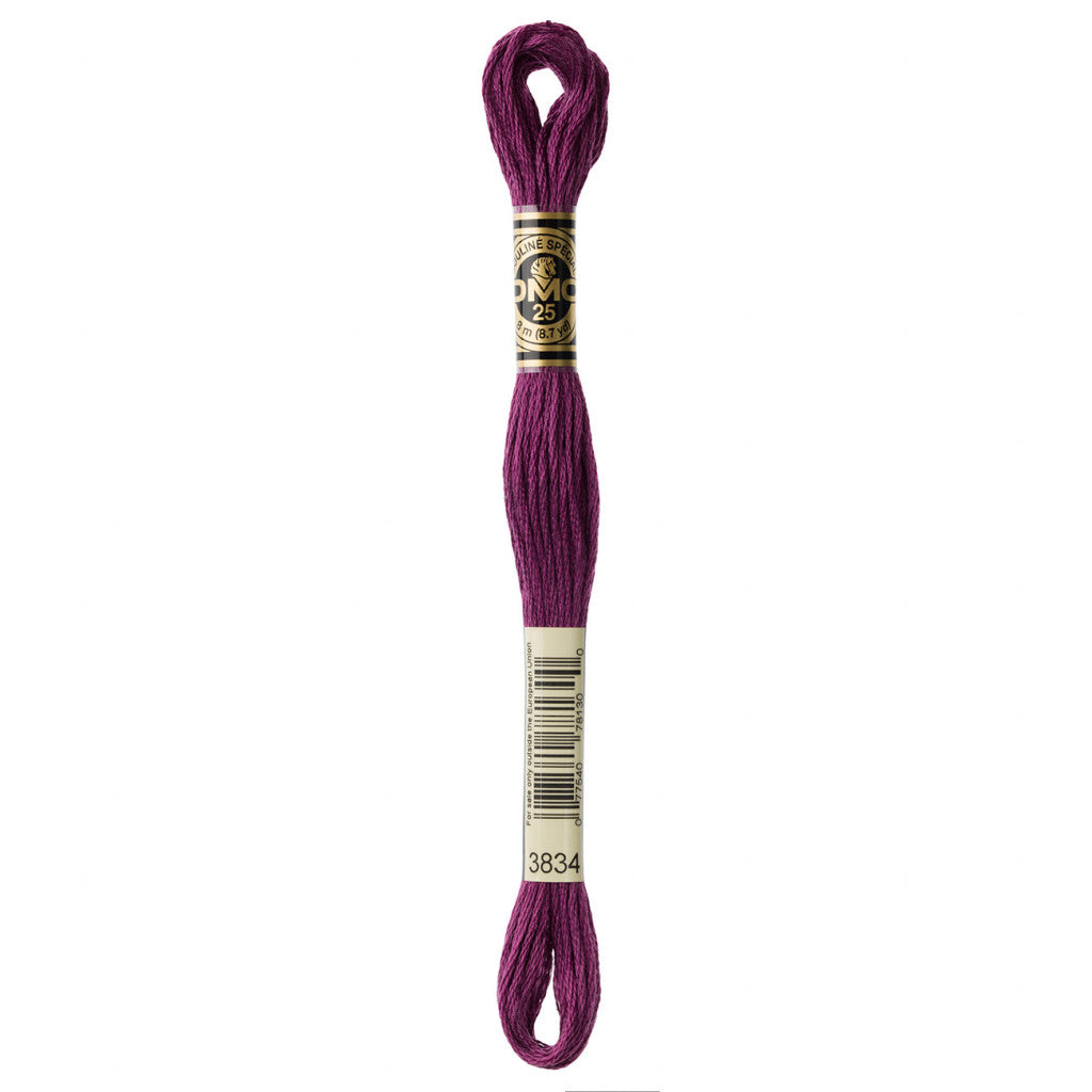 DMC 3834 Embroidery Floss - Sewfinity.com