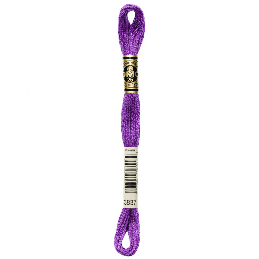 DMC 3837 Embroidery Floss - Sewfinity.com