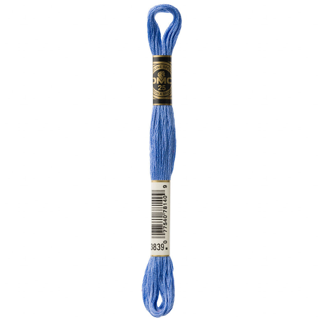 DMC 3839 Embroidery Floss - Sewfinity.com