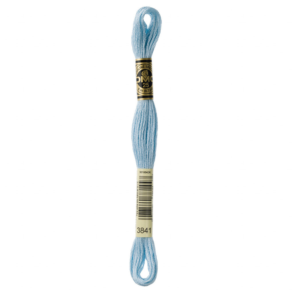 DMC 3841 Embroidery Floss - Sewfinity.com