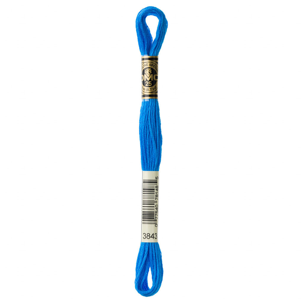 DMC 3843 Embroidery Floss - Sewfinity.com