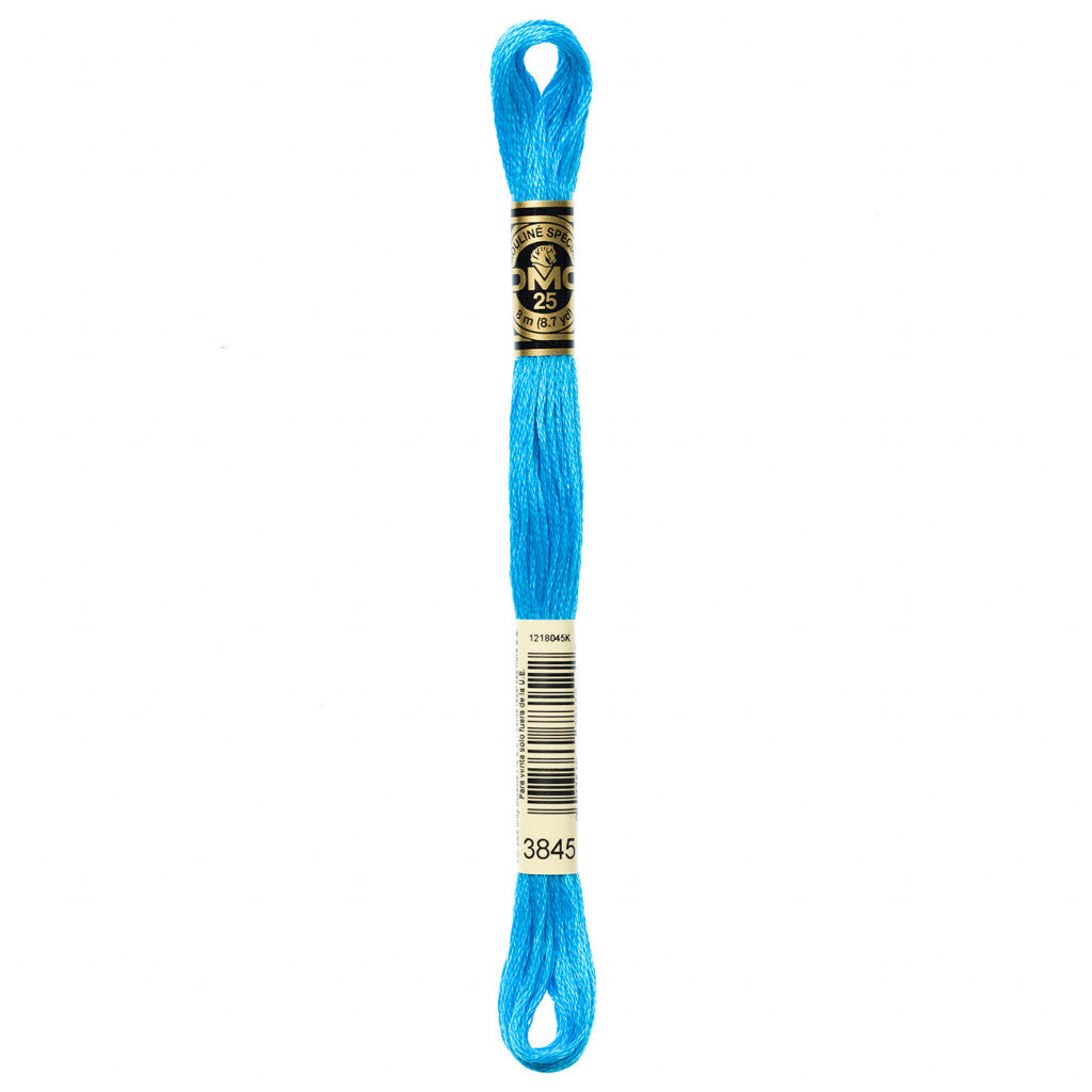 DMC 3845 Embroidery Floss - Sewfinity.com