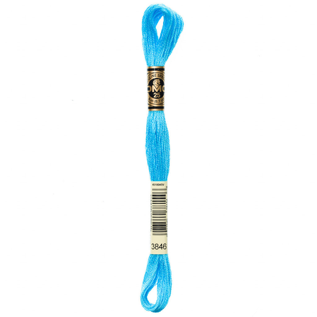 DMC 3846 Embroidery Floss - Sewfinity.com