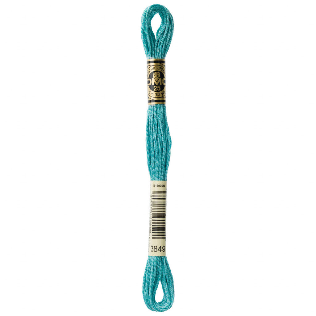 DMC 3849 Embroidery Floss - Sewfinity.com
