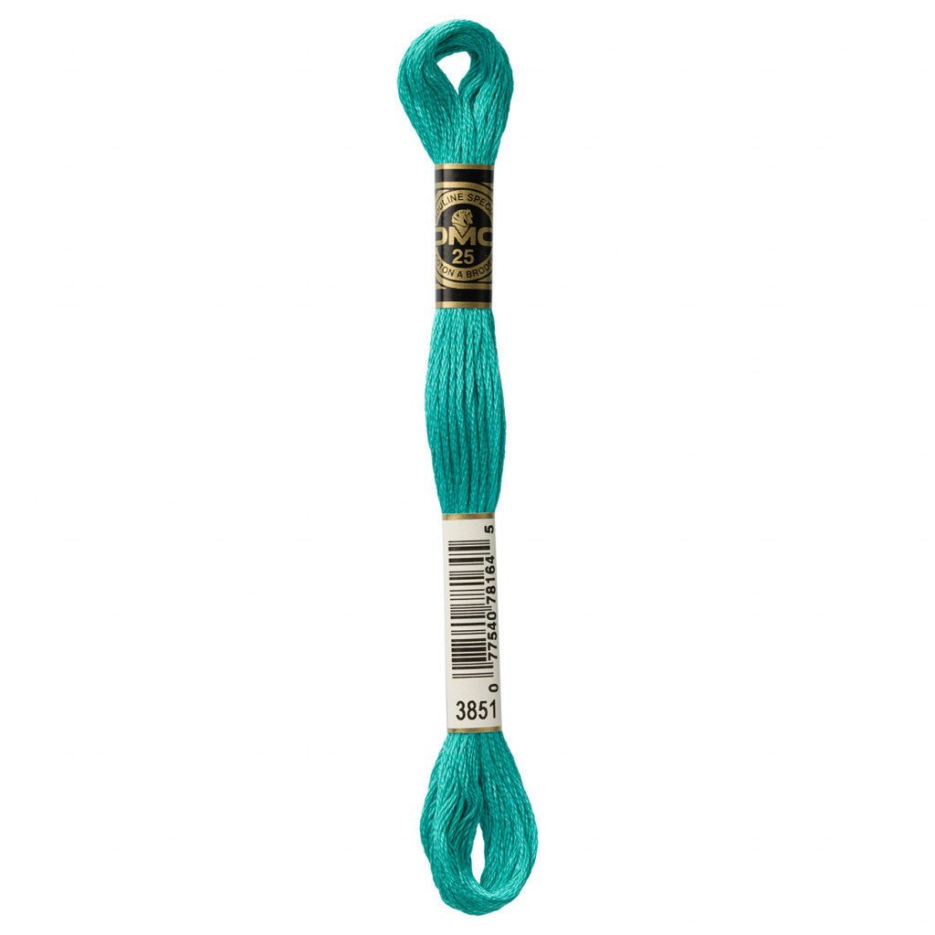 DMC 3851 Embroidery Floss - Sewfinity.com