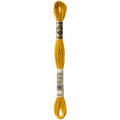 DMC 3852 Embroidery Floss - Sewfinity.com