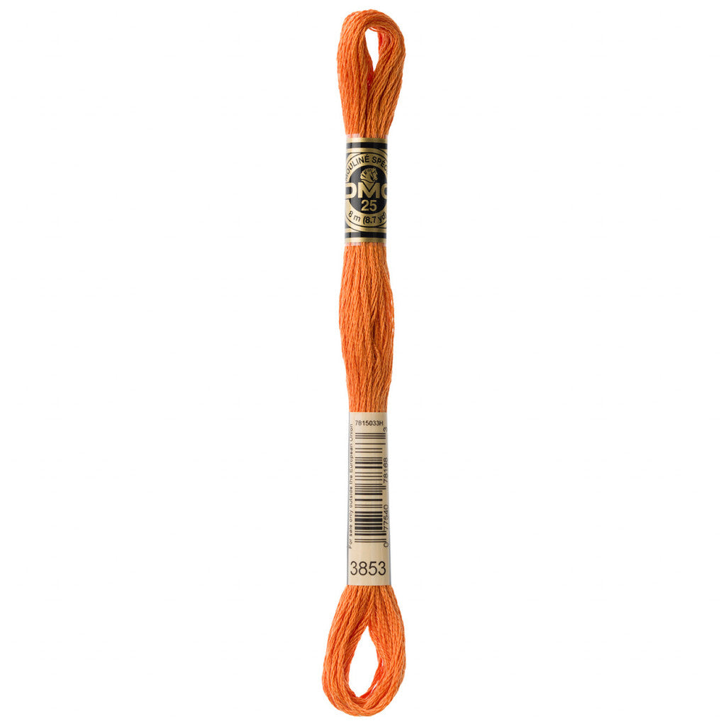 DMC 3853 Embroidery Floss - Sewfinity.com