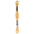 DMC 3855 Embroidery Floss - Sewfinity.com