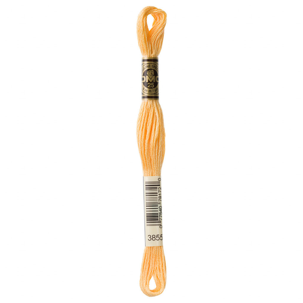 DMC 3855 Embroidery Floss - Sewfinity.com
